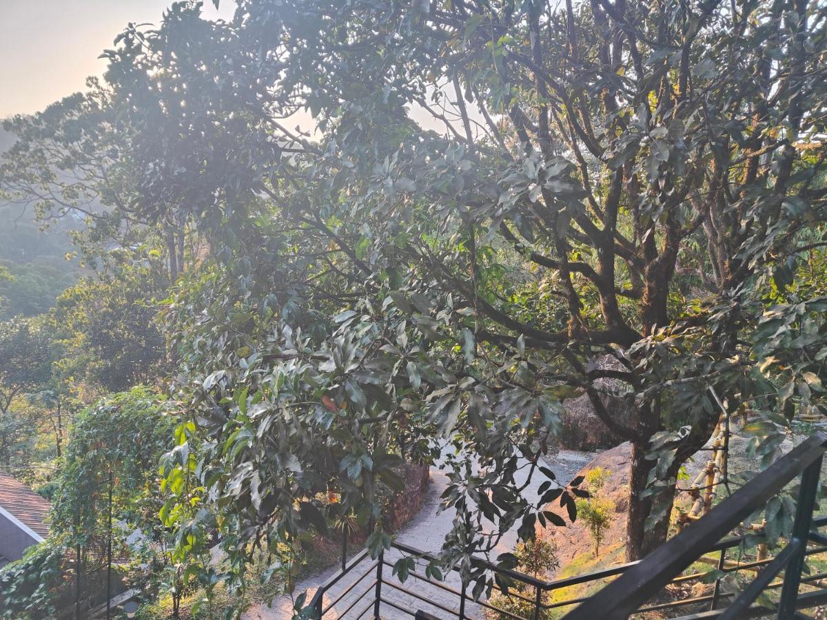 The Wild Trails Clarks Exotica , Munnar Hotel Kültér fotó